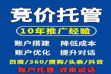 SEM托管服务实战案例：打造高效广告投放策略